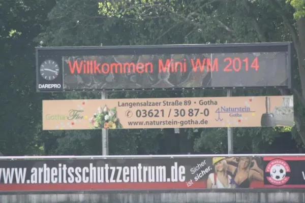 Mini-WM 2014